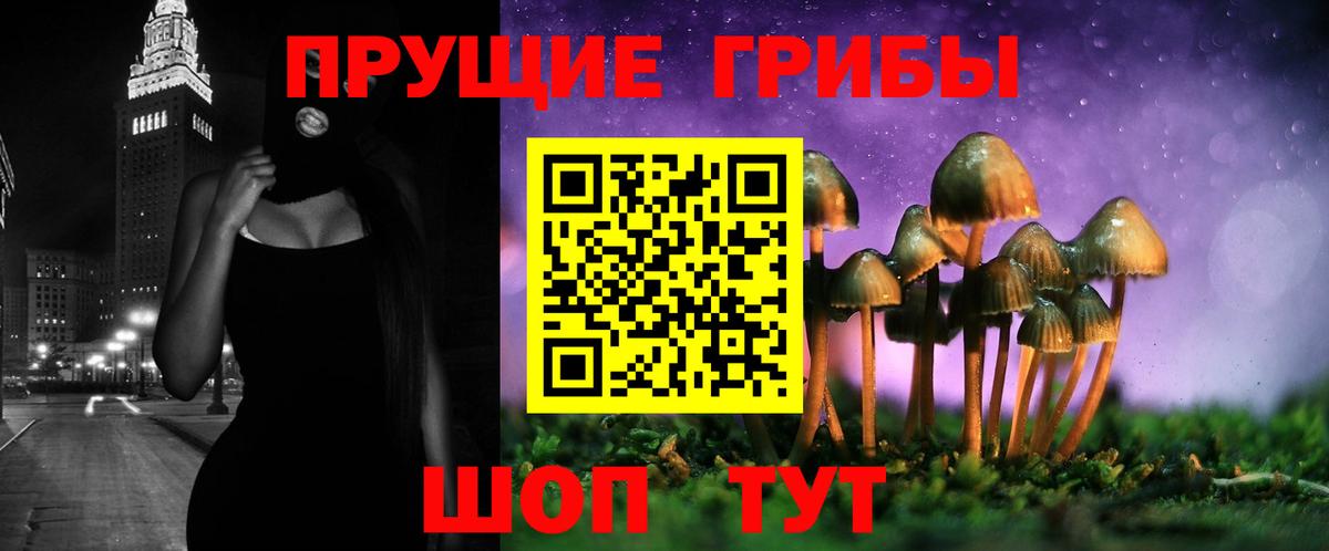 Галлюциногенные грибы Magic Shrooms Татарск